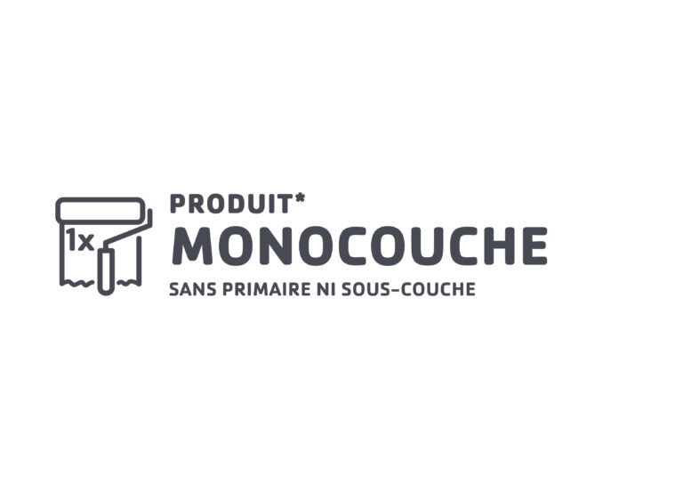 peinture monocouche